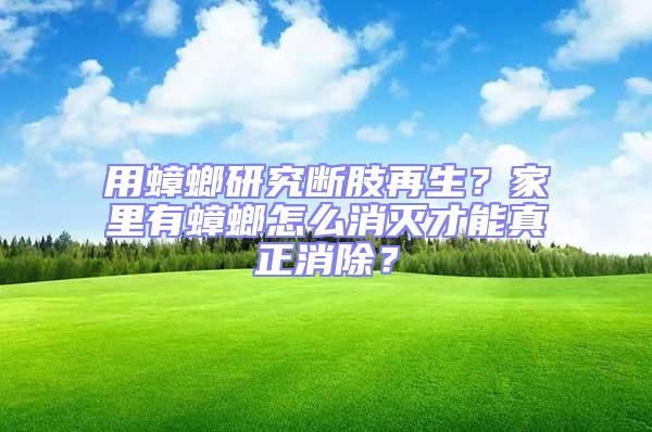 用蟑螂研究斷肢再生?家里有蟑螂怎么消滅才能真正消除?
