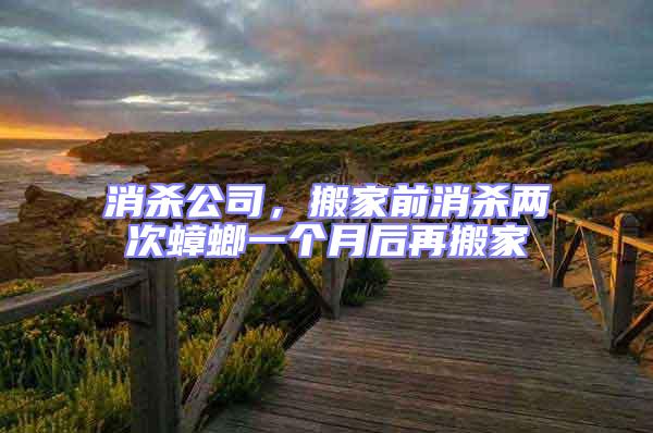 消殺公司，搬家前消殺兩次蟑螂一個月后再搬家
