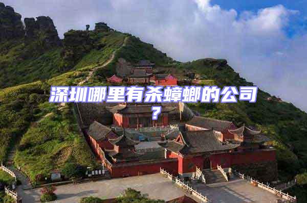 深圳哪里有殺蟑螂的公司？