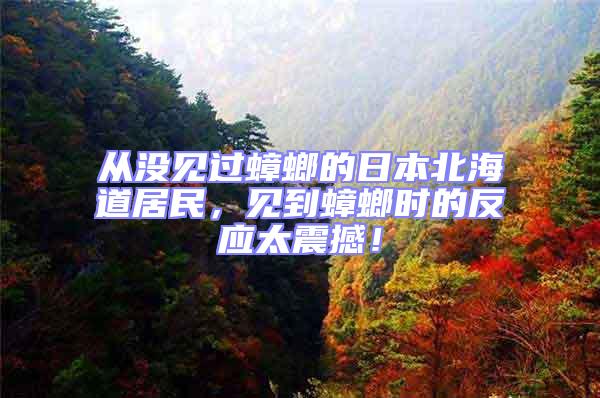 從沒見過蟑螂的日本北海道居民，見到蟑螂時的反應太震撼！