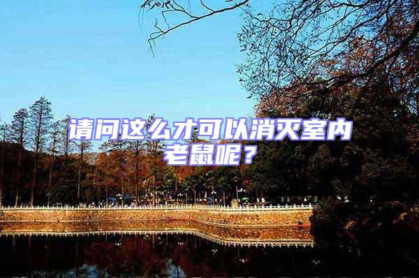 請問這么才可以消滅室內(nèi)老鼠呢？