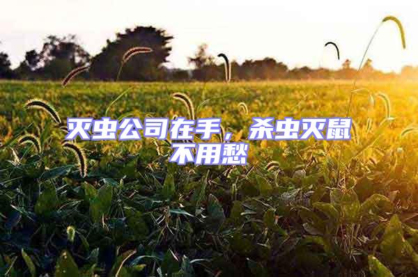 滅蟲公司在手，殺蟲滅鼠不用愁