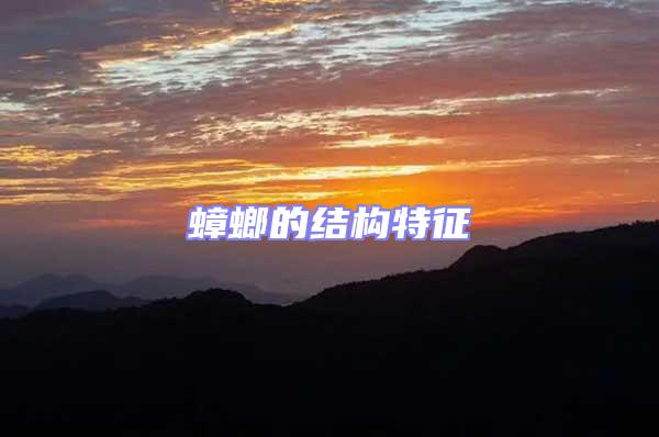 蟑螂的結(jié)構(gòu)特征