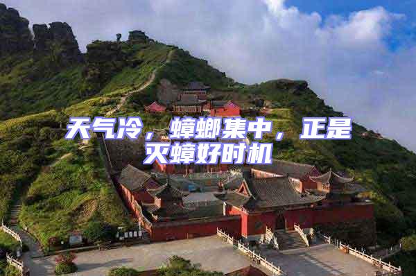 天氣冷，蟑螂集中，正是滅蟑好時機