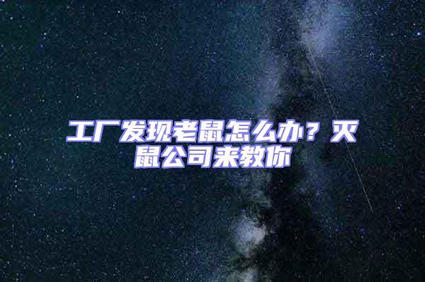 工廠發(fā)現(xiàn)老鼠怎么辦?滅鼠公司來教你