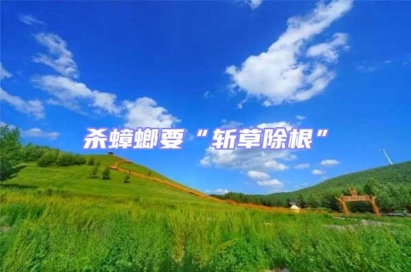 殺蟑螂要“斬草除根”