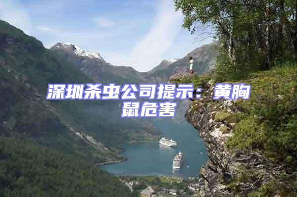 深圳殺蟲公司提示:黃胸鼠危害