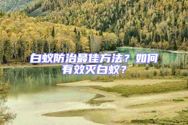 白蟻防治最佳方法？如何有效滅白蟻？