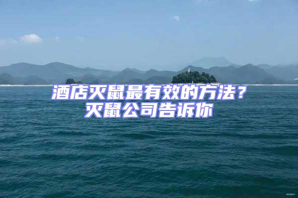 酒店滅鼠最有效的方法？滅鼠公司告訴你
