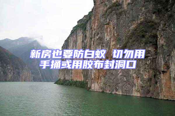 新房也要防白蟻 切勿用手捅或用膠布封洞口
