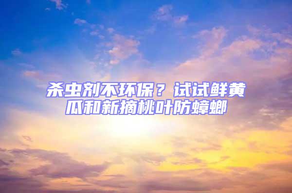 殺蟲劑不環保？試試鮮黃瓜和新摘桃葉防蟑螂