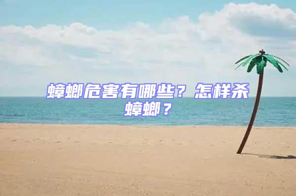 蟑螂危害有哪些？怎樣殺蟑螂？