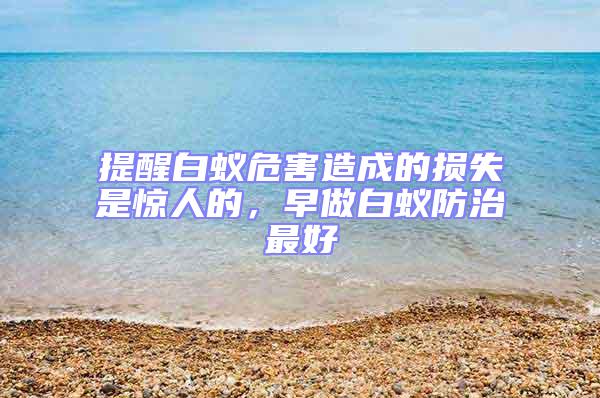 提醒白蟻危害造成的損失是驚人的，早做白蟻防治最好