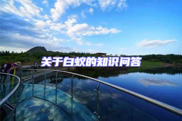 關(guān)于白蟻的知識(shí)問答