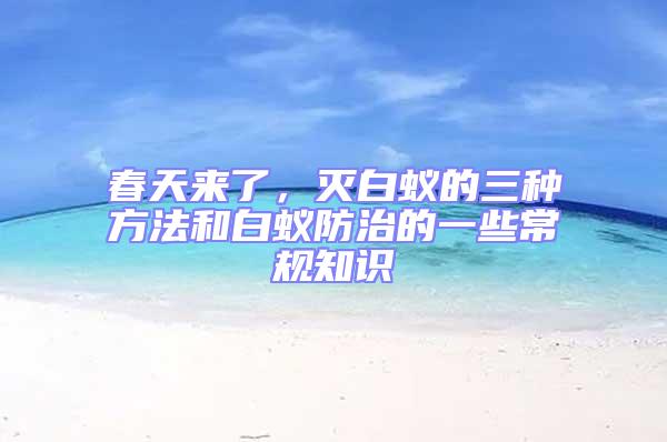 春天來了，滅白蟻的三種方法和白蟻防治的一些常規(guī)知識