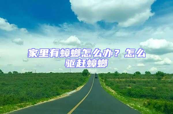 家里有蟑螂怎么辦？怎么驅趕蟑螂