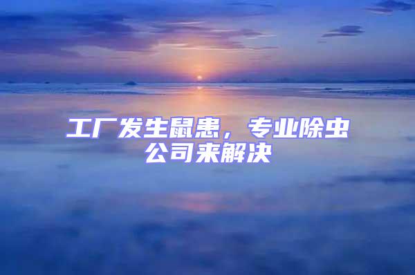 工廠發生鼠患，專業除蟲公司來解決