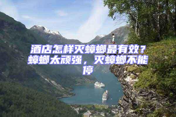 酒店怎樣滅蟑螂最有效?蟑螂太頑強(qiáng),滅蟑螂不能停