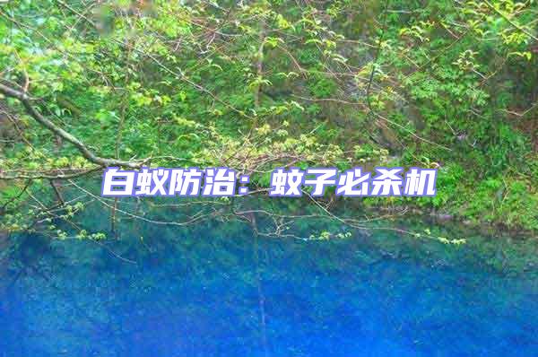 白蟻防治：蚊子必殺機(jī)