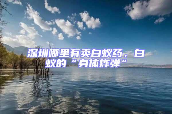 深圳哪里有賣白蟻藥，白蟻的“身體炸彈”