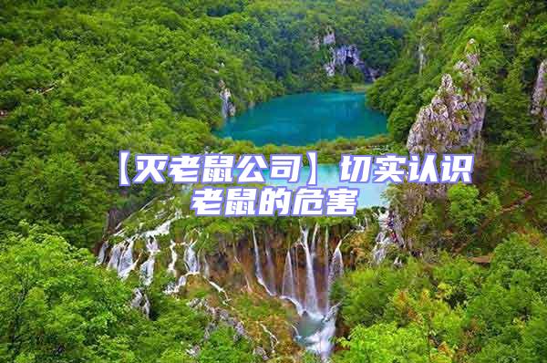 【滅老鼠公司】切實(shí)認(rèn)識(shí)老鼠的危害