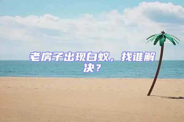 老房子出現白蟻,找誰解決?