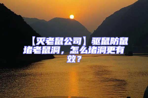 【滅老鼠公司】驅(qū)鼠防鼠堵老鼠洞，怎么堵洞更有效？