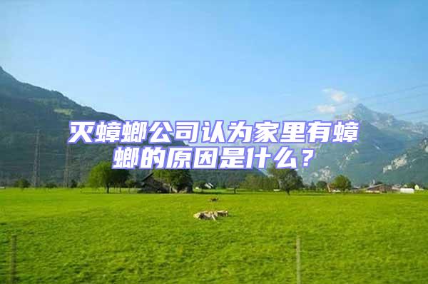 滅蟑螂公司認為家里有蟑螂的原因是什么？