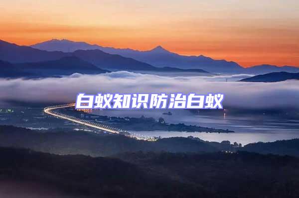 白蟻知識防治白蟻