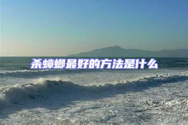 殺蟑螂最好的方法是什么