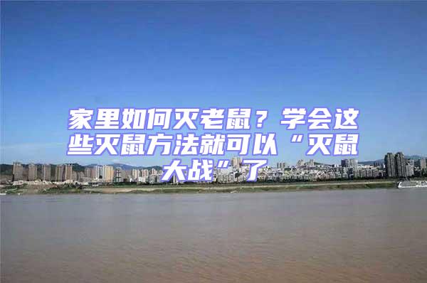 家里如何滅老鼠？學會這些滅鼠方法就可以“滅鼠大戰”了