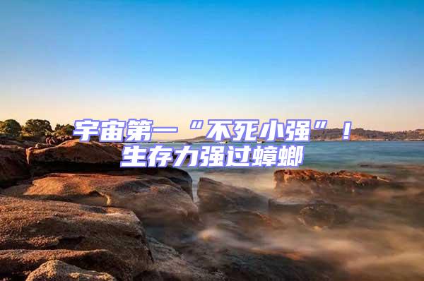 宇宙第一“不死小強(qiáng)”！生存力強(qiáng)過蟑螂