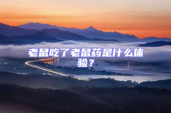 老鼠吃了老鼠藥是什么體驗？