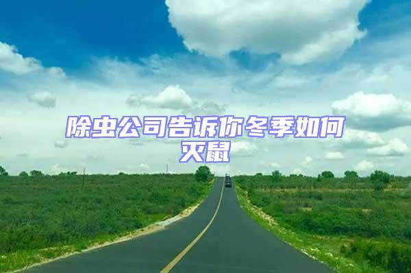 除蟲(chóng)公司告訴你冬季如何滅鼠