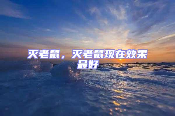 滅老鼠，滅老鼠現(xiàn)在效果最好