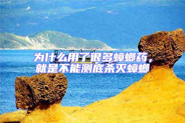 為什么用了很多蟑螂藥，就是不能測底殺滅蟑螂