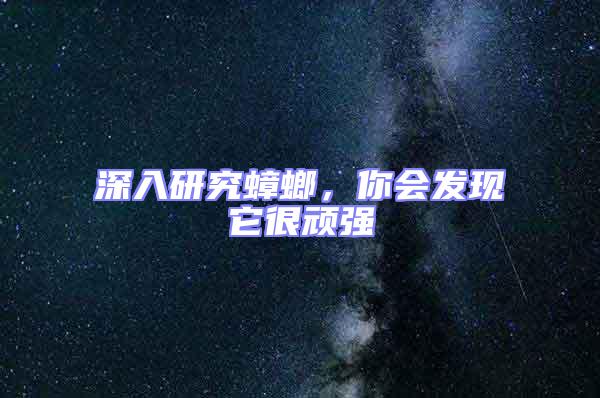深入研究蟑螂,你會發現它很頑強