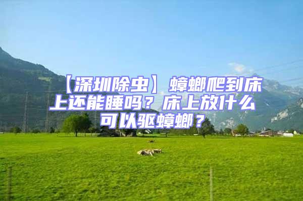 【深圳除蟲】蟑螂爬到床上還能睡嗎？床上放什么可以驅蟑螂？