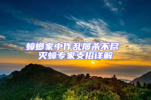 蟑螂家中作亂屢殺不盡 滅蟑專(zhuān)家支招詳解