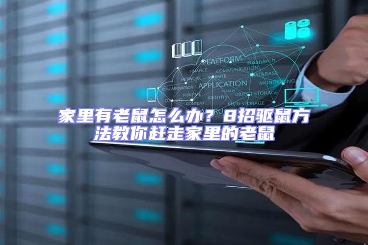 家里有老鼠怎么辦？8招驅(qū)鼠方法教你趕走家里的老鼠