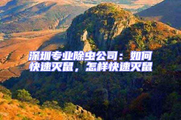 深圳專業除蟲公司：如何快速滅鼠，怎樣快速滅鼠