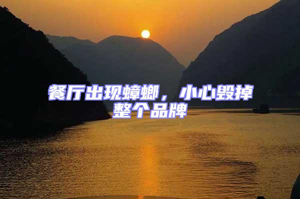 餐廳出現(xiàn)蟑螂,小心毀掉整個(gè)品牌