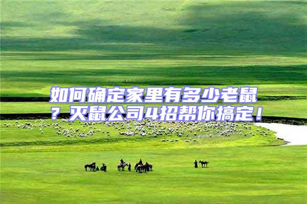 如何確定家里有多少老鼠？滅鼠公司4招幫你搞定！