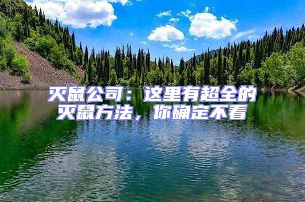 滅鼠公司：這里有超全的滅鼠方法，你確定不看