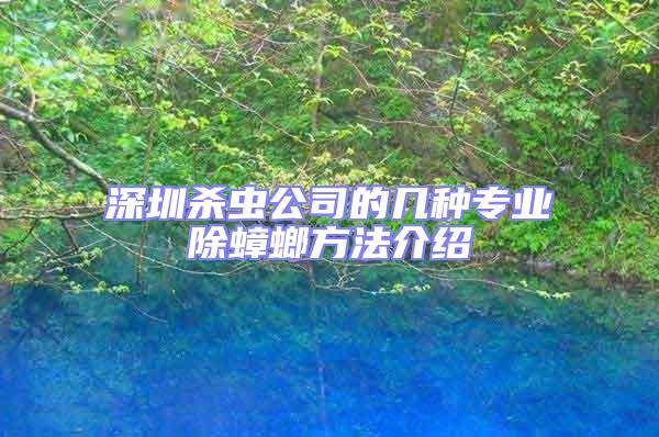 深圳殺蟲(chóng)公司的幾種專(zhuān)業(yè)除蟑螂方法介紹