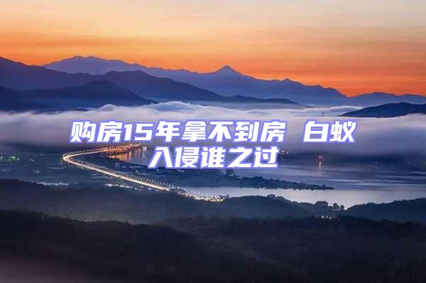 購房15年拿不到房 白蟻入侵誰之過