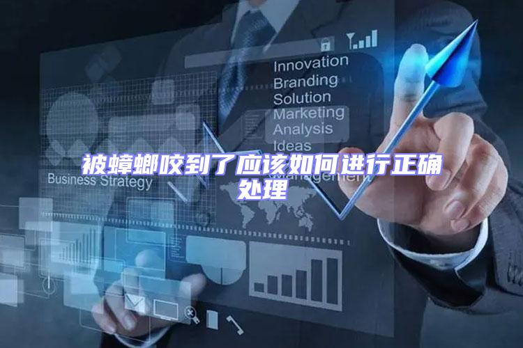 被蟑螂咬到了應該如何進行正確處理