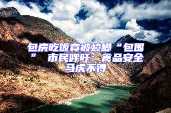 包房吃飯竟被蟑螂“包圍” 市民呼吁：食品安全馬虎不得
