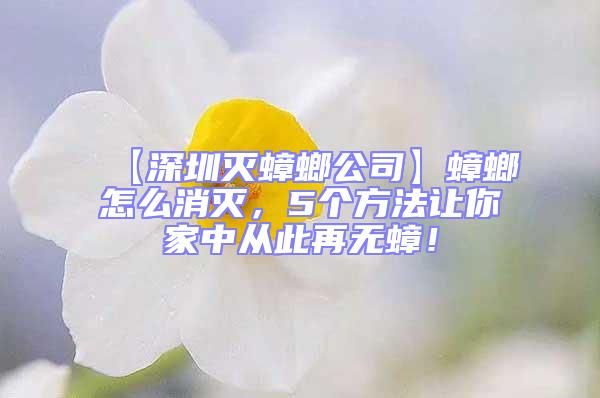【深圳滅蟑螂公司】蟑螂怎么消滅，5個方法讓你家中從此再無蟑！