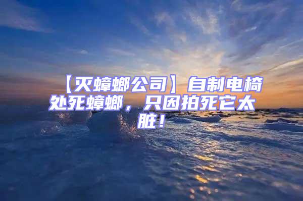 【滅蟑螂公司】自制電椅處死蟑螂，只因拍死它太臟！